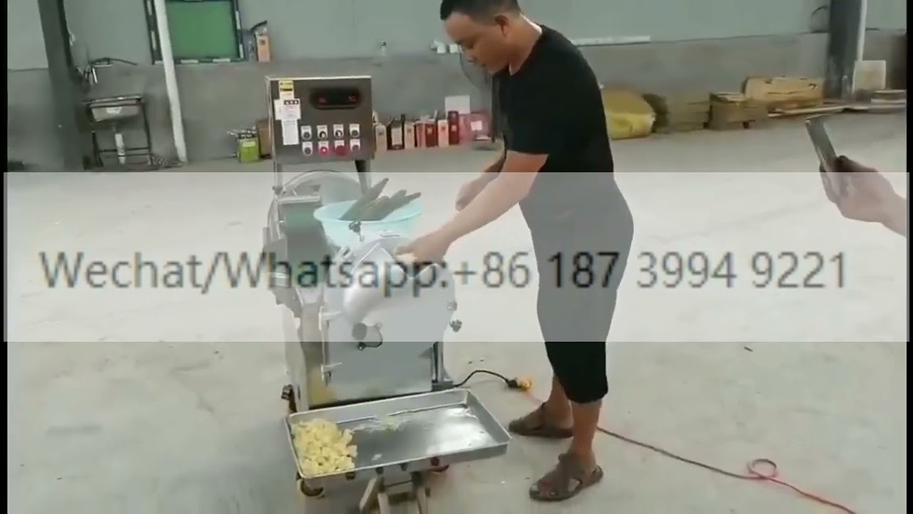 Industrial ginger processing cutter ginger slicer blanching vegetable ginger slicing cutting machine