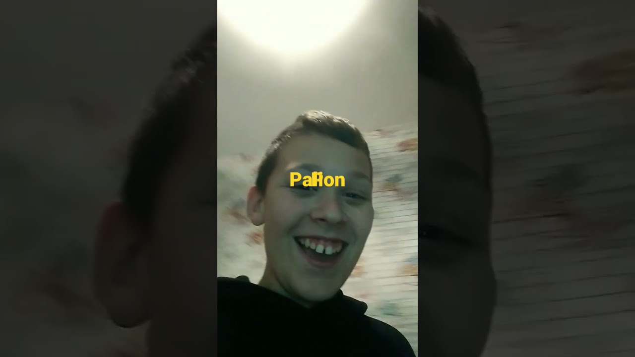 .paloi