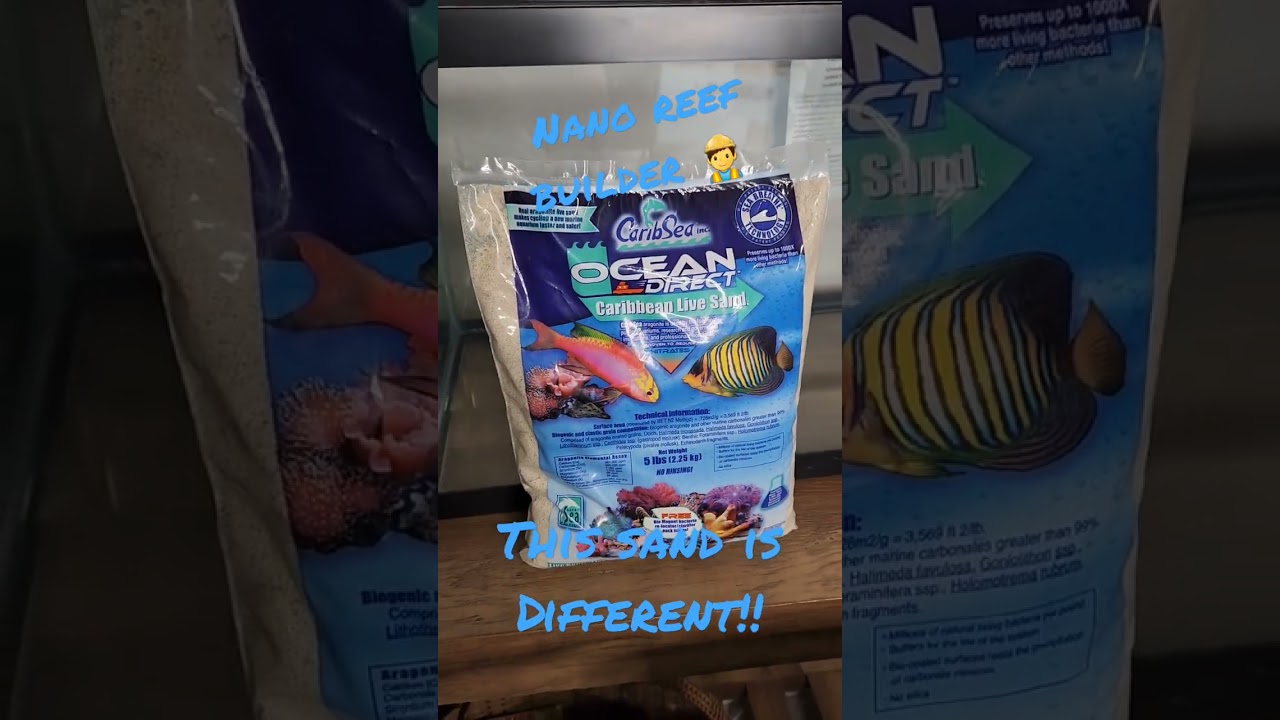 This live sand is different! Nano reef build