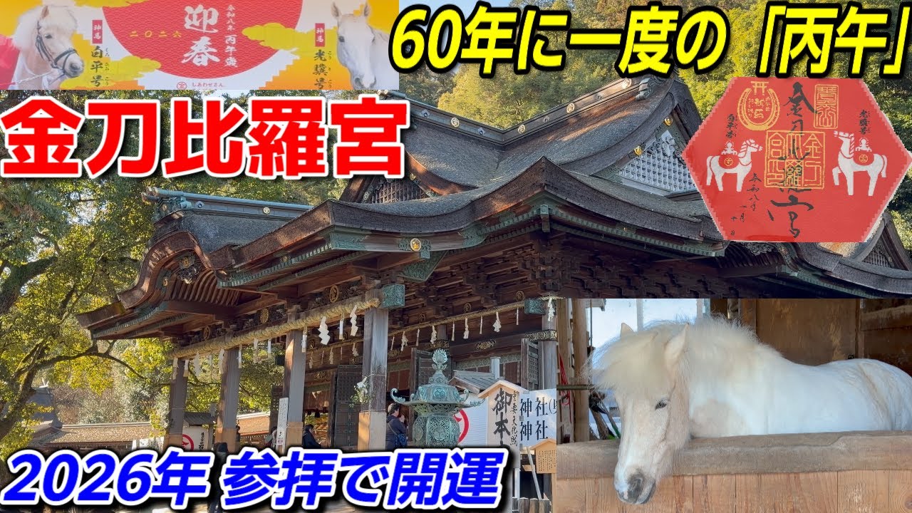 【2026年最強開運】60年に一度の丙午に「こんぴらさん」へ！1368段の先に待つ絶景と神馬の奇跡、飛躍を願う「金刀比羅宮」・特別な一年のご利益、飛躍を願う旅　香川県＃34