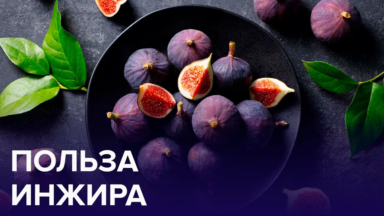 Чем ПОЛЕЗЕН ИНЖИР? | Доктор 24