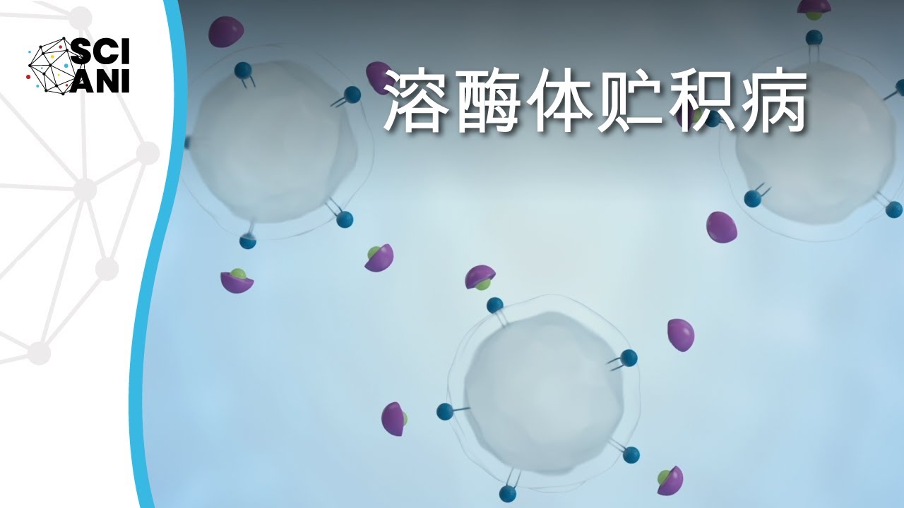 什么是溶酶体贮积病？