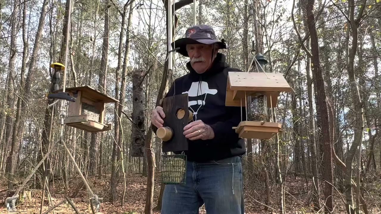 Feeding Peanut Butter To Your Backyard Birds
