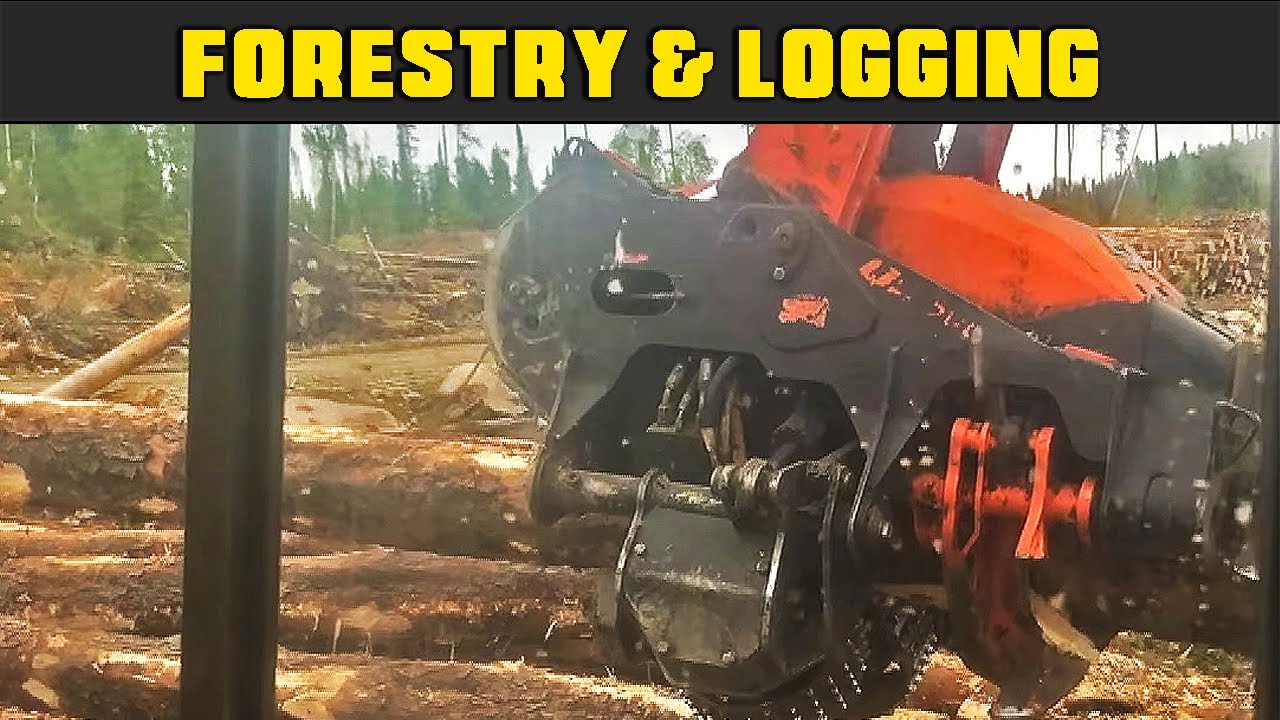 Southstar Processor Ripping Through Short Logs!