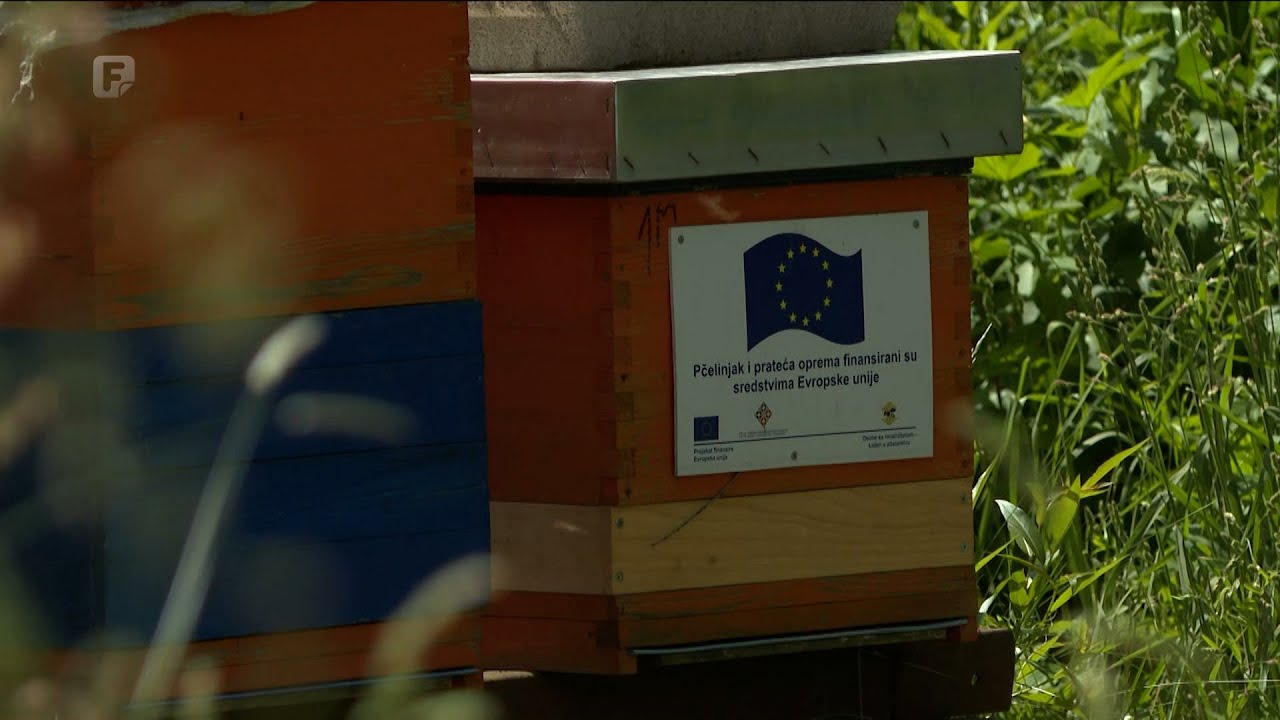 Prekogranična saradnja BiH i Crne Gore – 40 osoba sa invaliditetom postali pčelari