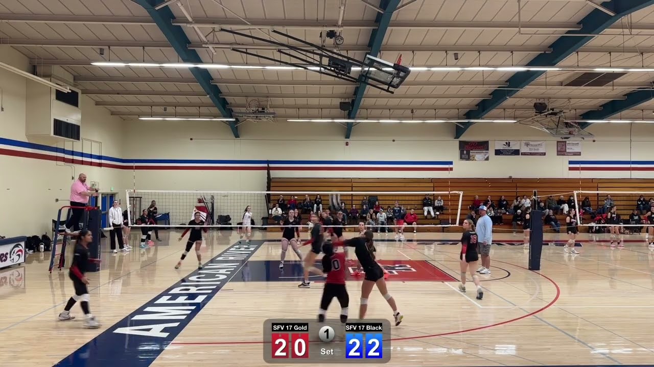 SFV 17 Gold vs SFV 17 Black