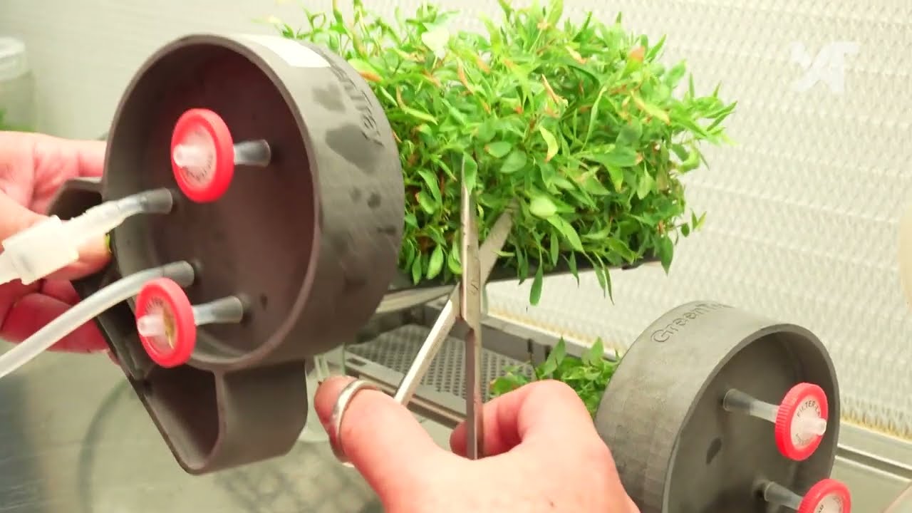 Solucions X_AgriTech: Green Tray