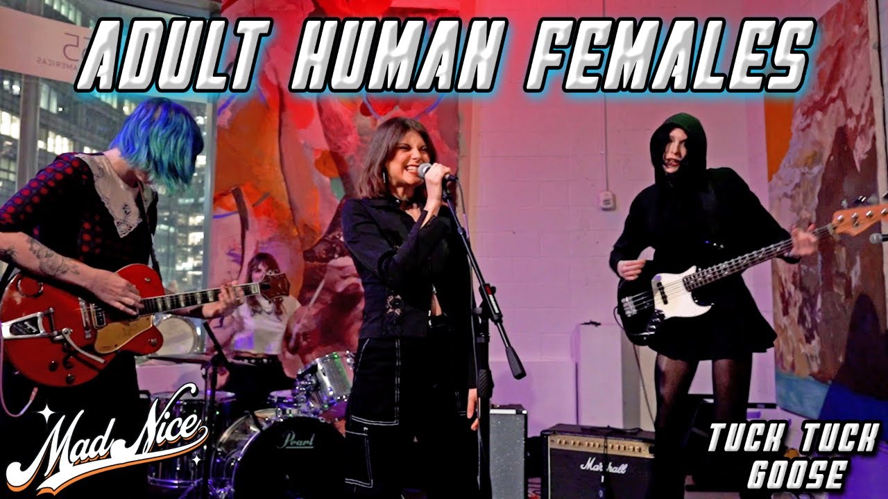 Adult Human Females - Tuck Tuck Goose | Live January 31, 2025 | (MadNiceTV)