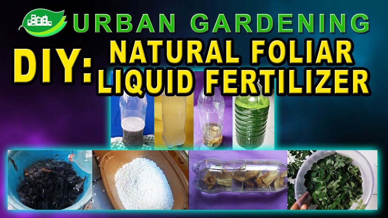 DIY: Natural Foliar Liquid Fertilizer