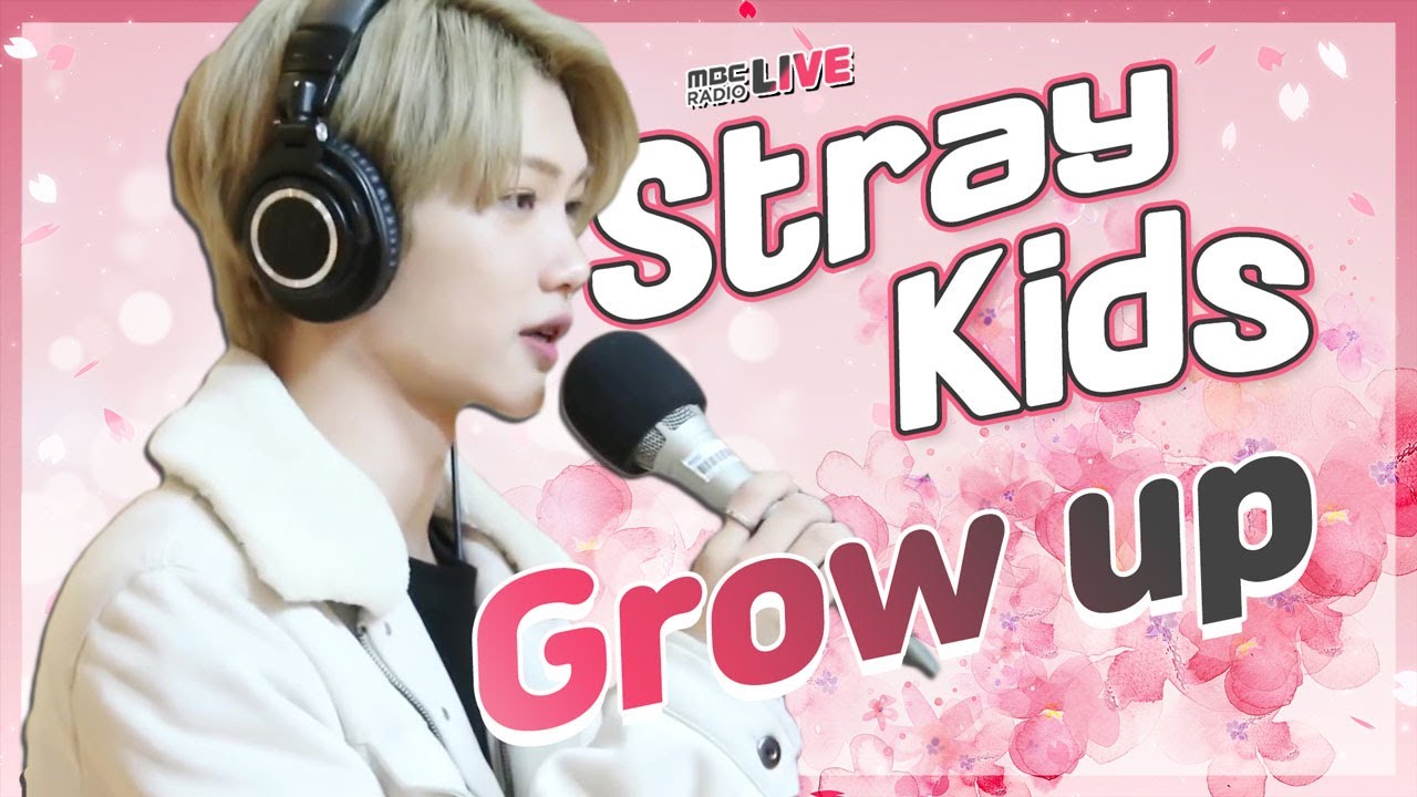 [기획사라이브] 스트레이키즈 - 잘하고 있어 (Grow up) / 산들의 별이 빛나는 밤에