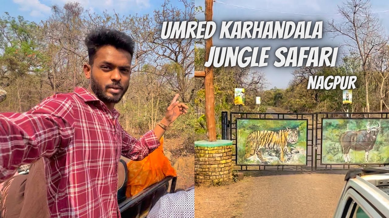 UMRED KARHANDLA, JUNGLE SAFARI NAGPUR, Jungle Safari Vlog