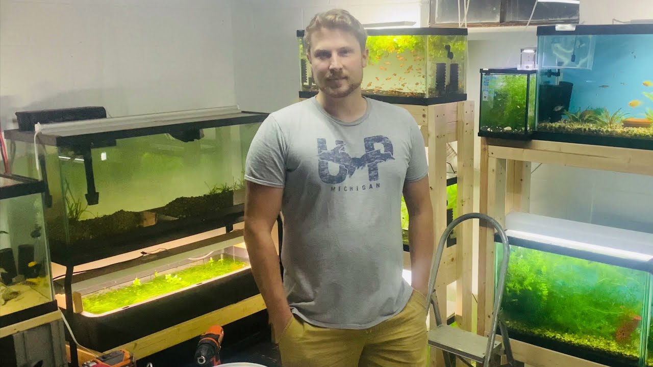 Amazing Fish Room Tour with Alex Parent