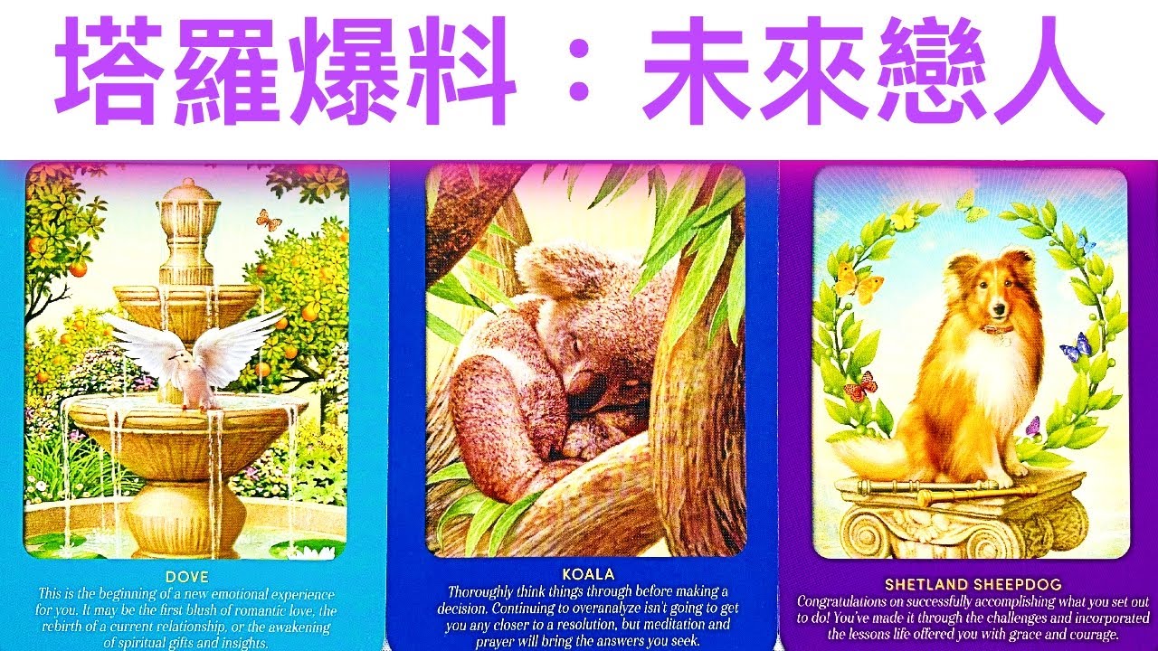 愛情占卜🔮 你未來戀人的星座/職業/打扮風格💖塔羅直接爆料！🌈✨#占卜#愛情#塔羅牌