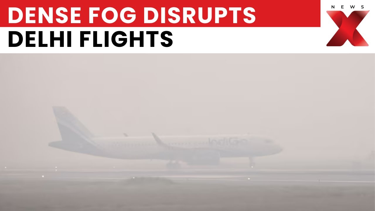 How Is The Cold Wave Impacting North India? Latest Fog And Temperature Update