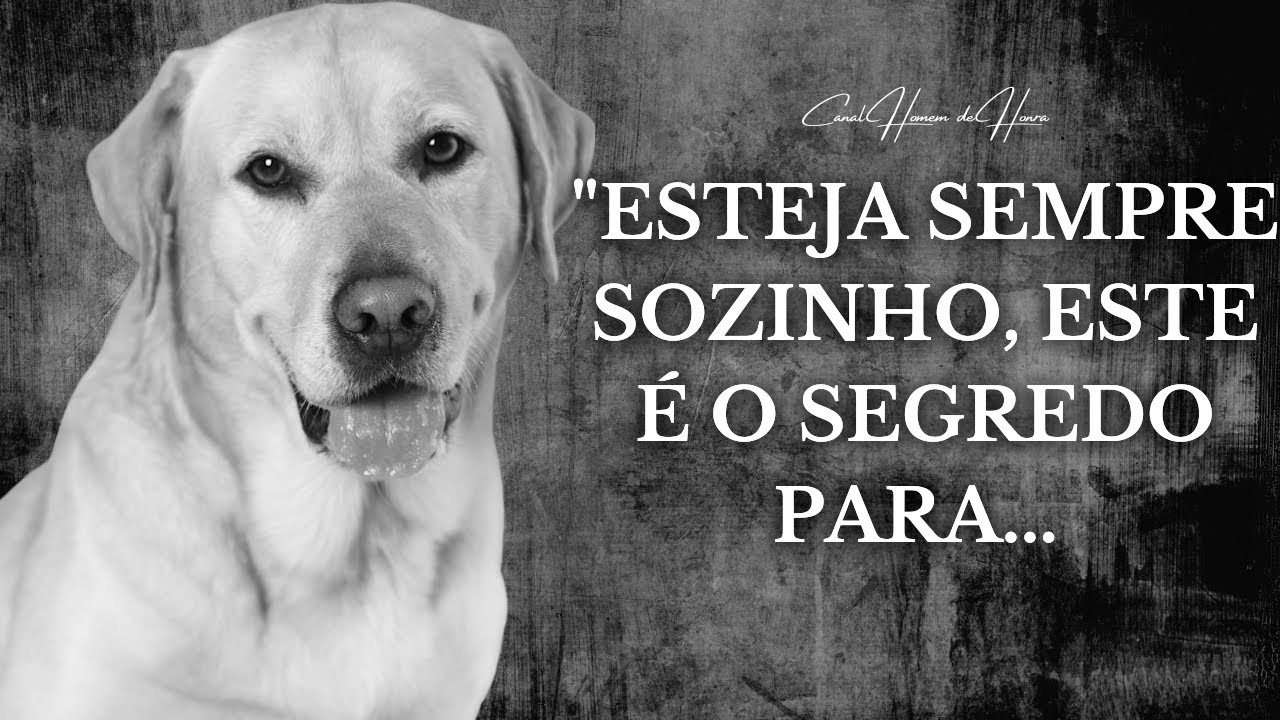VOCÊ COLHE O QUE PLANTA (Uma Fábula Surpreendente)