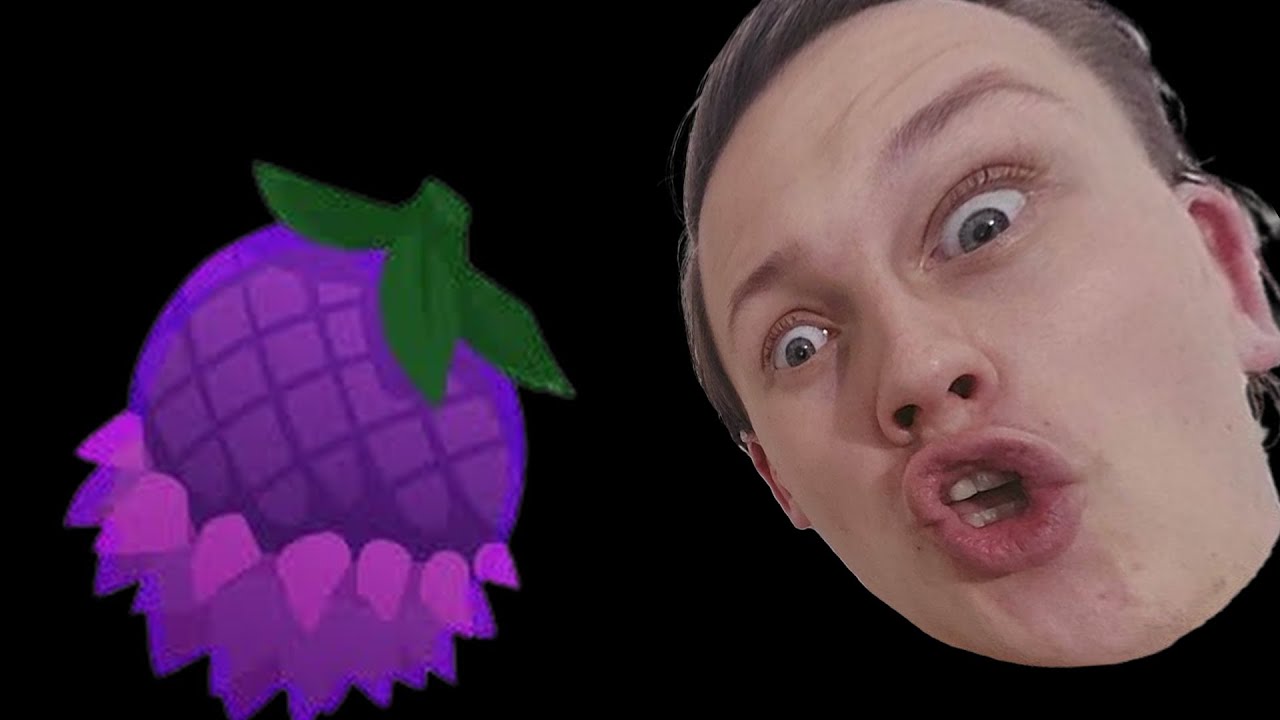 Kookadobas And Bees | Slimerancher