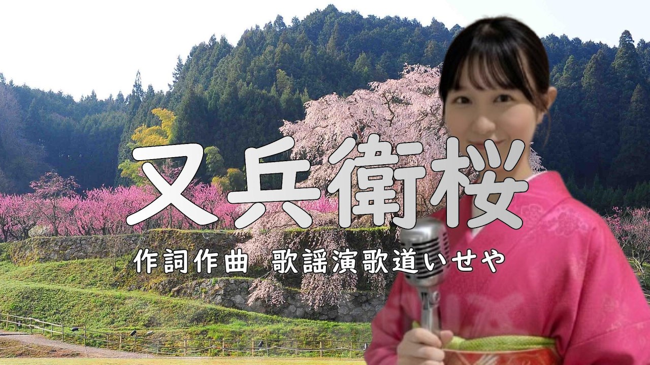 又兵衛桜2026 伊勢あかり/歌謡演歌道(かようえんかみち)いせや　#演歌 #歌謡曲 #歌謡演歌道いせや  #いせや #又兵衛桜