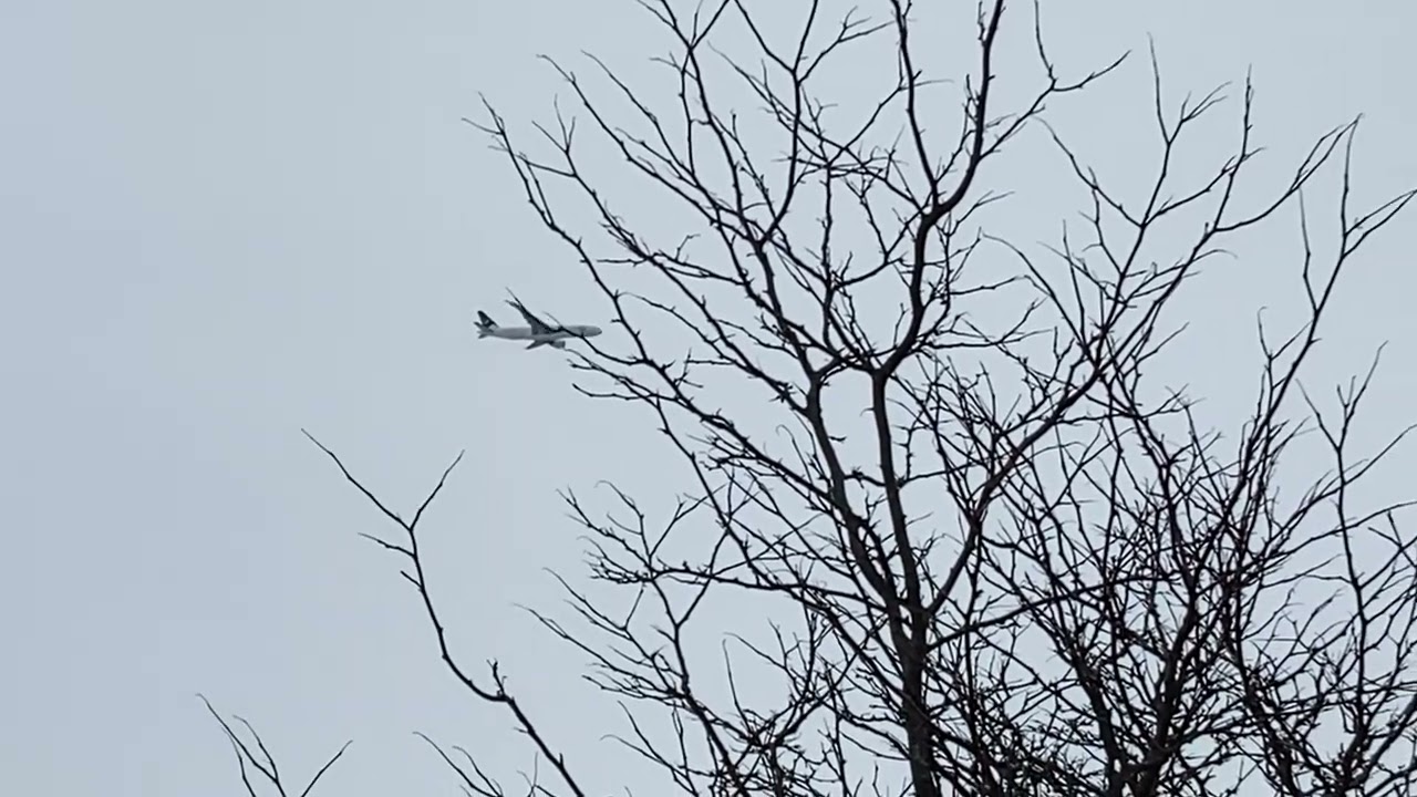 Pakistan International Airlines Boeing 777-240(LR) (AP-BGZ, PK797) landing to YYZ over my house