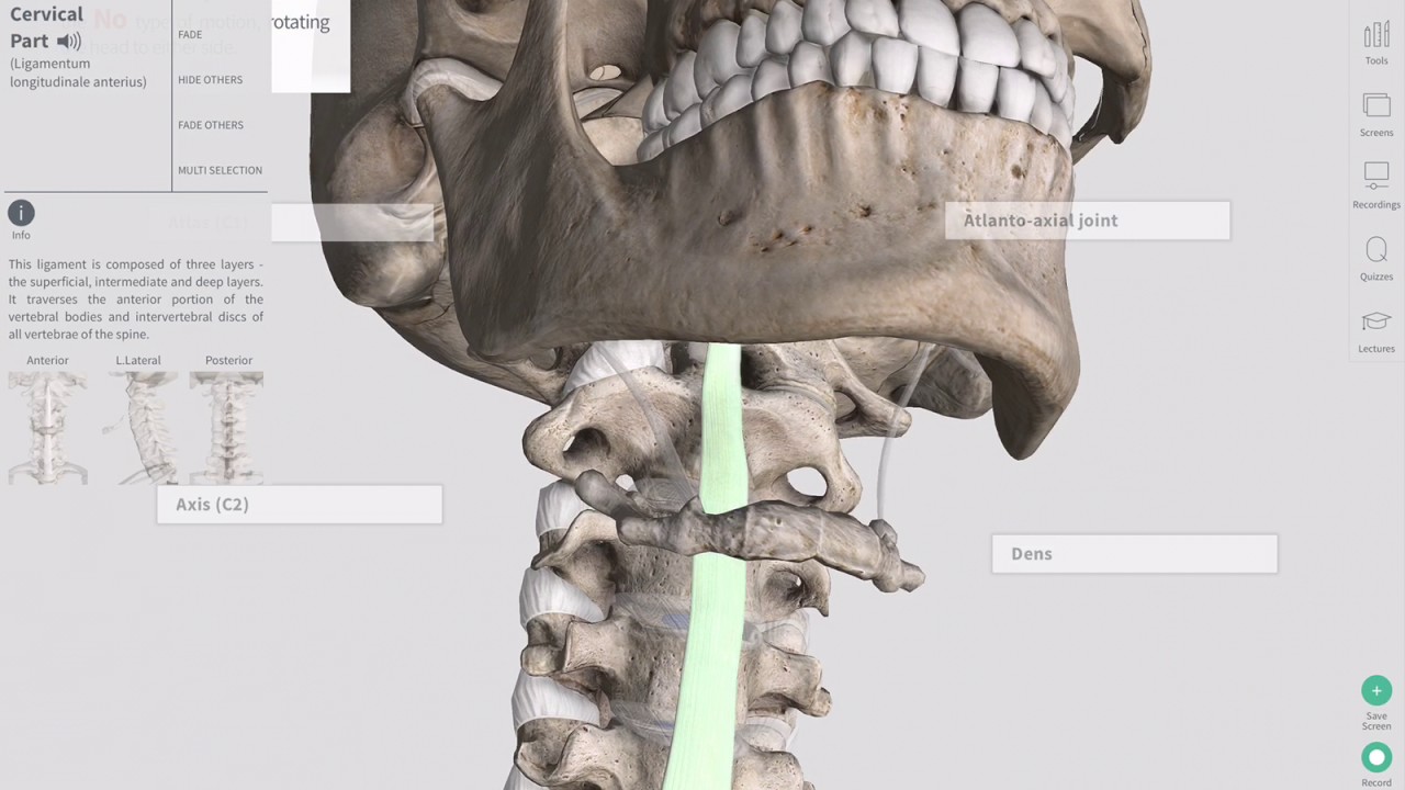 Complete Anatomy demonstration