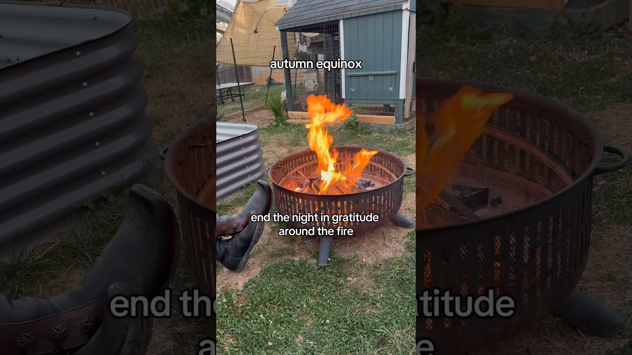 Как отметить осеннее равноденствие: идеи для празднования Мабона #мабон #равноденствие