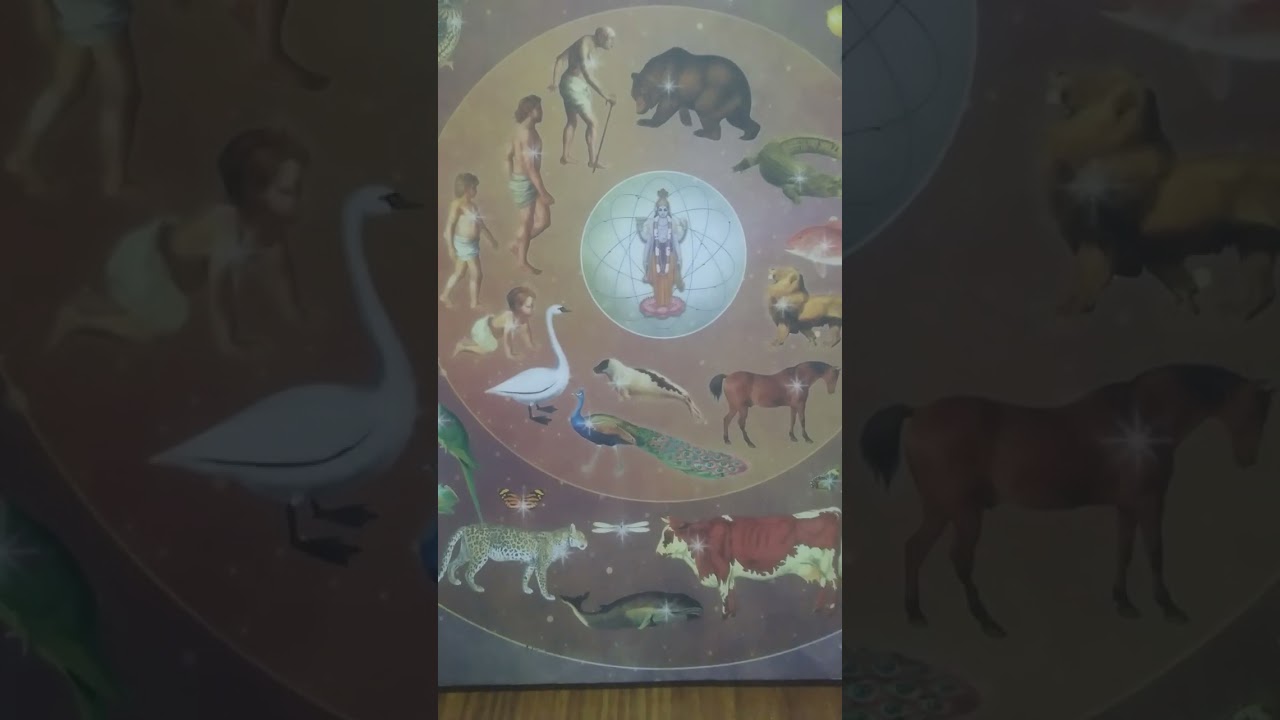 भगवान ने यह संसार रचा ही क्यों?????