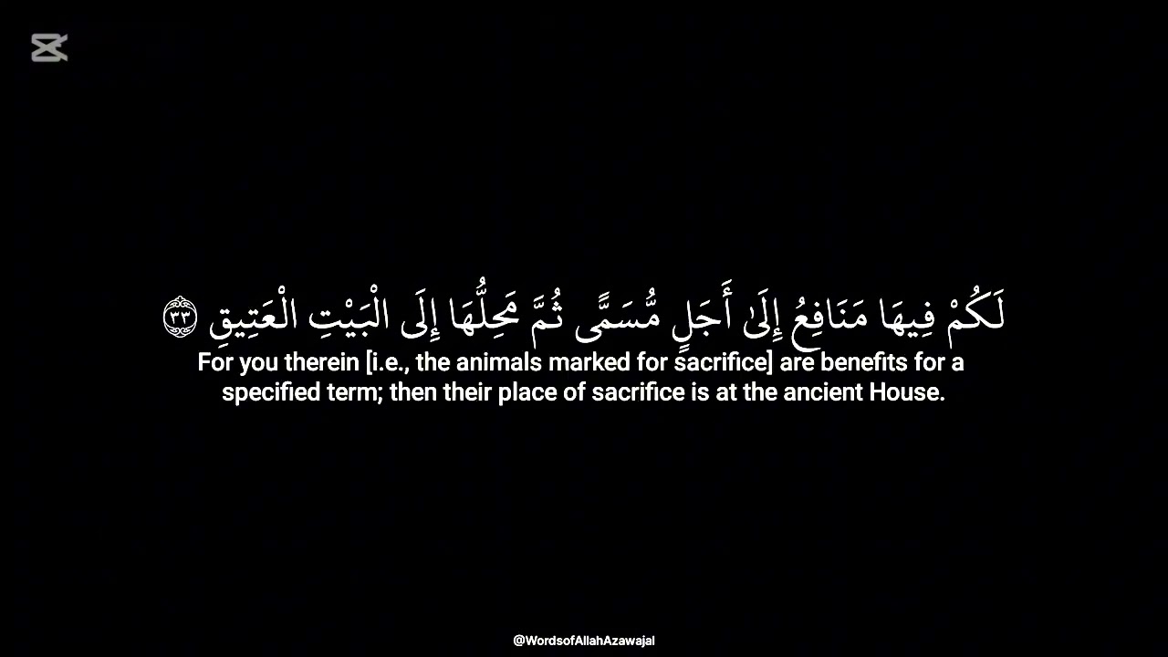 سـورة الحج - يـاسر الـدوســري [ گـاملة ] 🤍