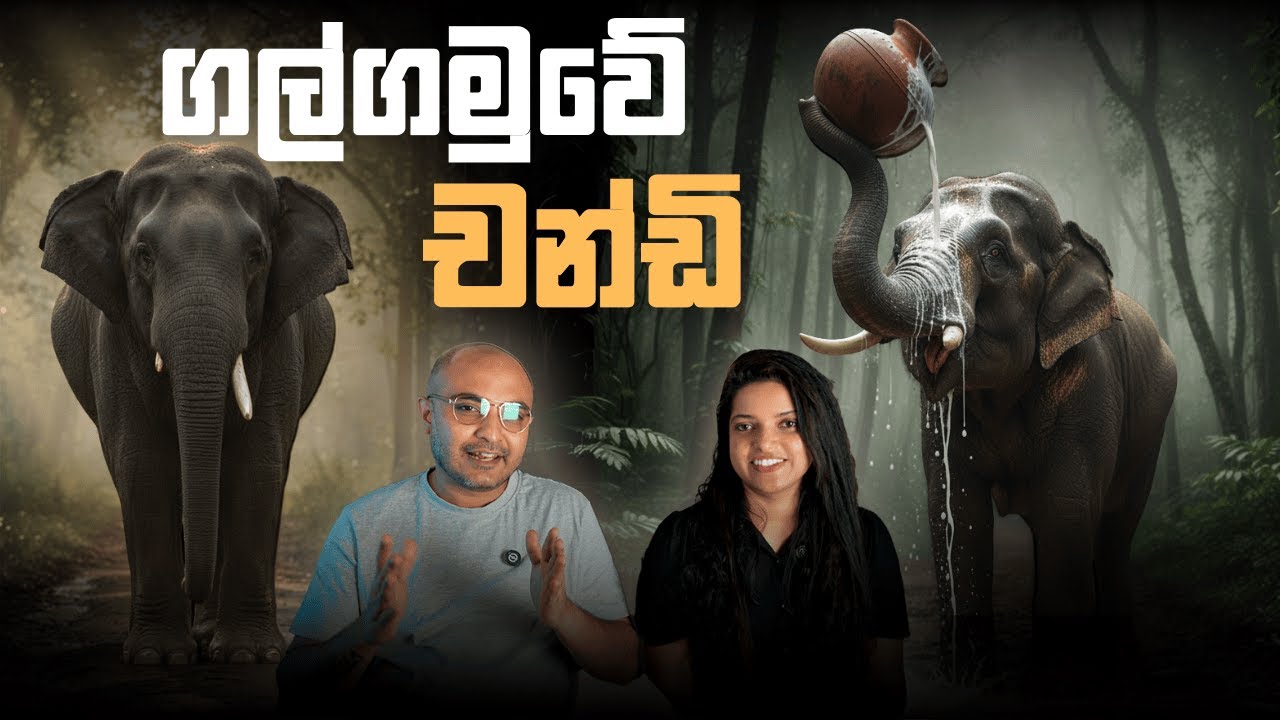 ගල්ගමුවේ චන්ඩි | The Legend of Chandi 🐘💜️💫