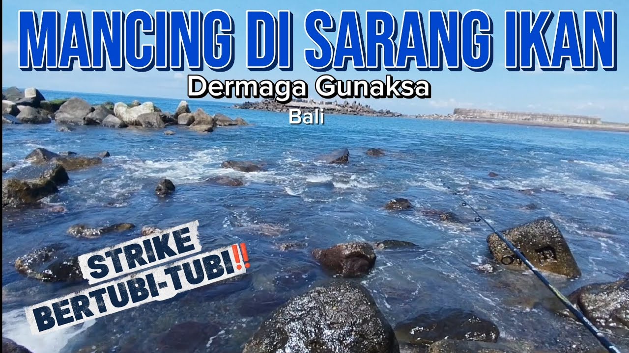 ‼️PESTA STRIKE LAGI ! MANCING di Dermaga Gunaksa Klungkung Bali📍2025