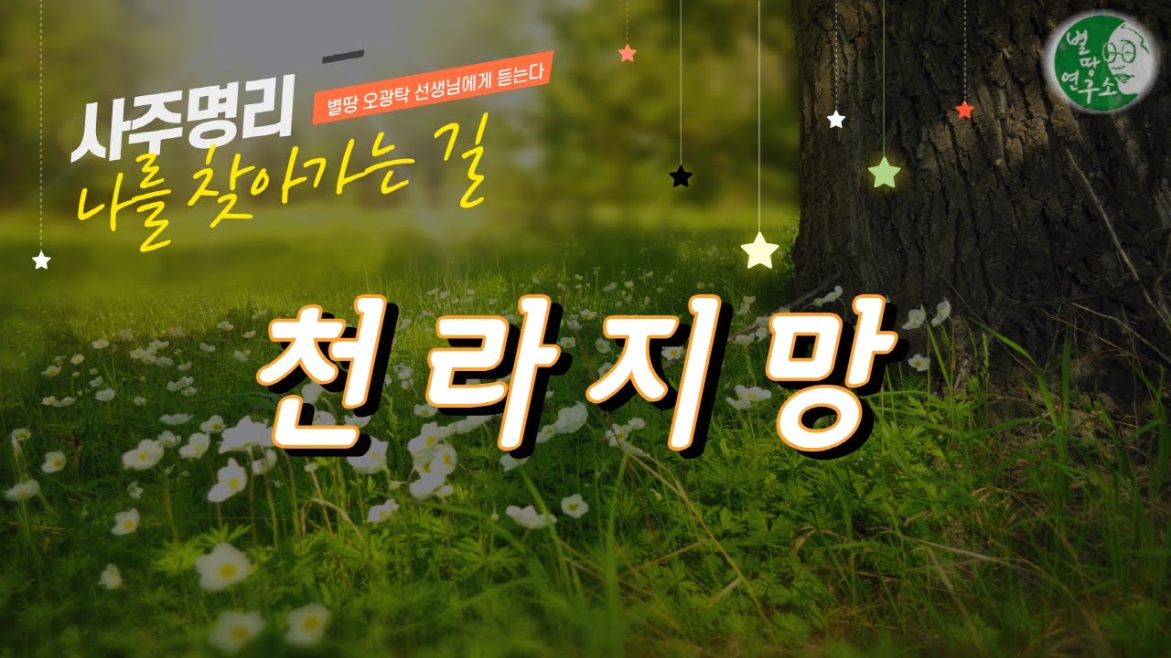 천라지망이란? [진사술해]
