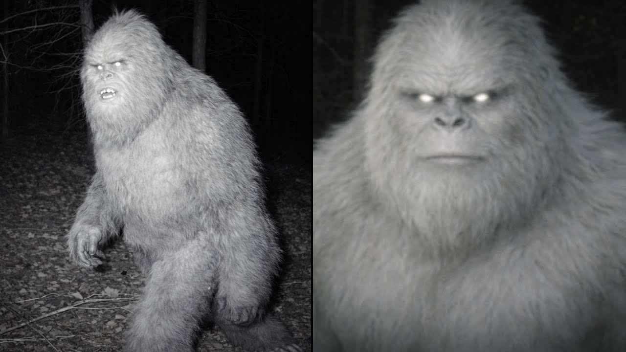 Man Records Bigfoot Stalking His Farm. Then Something Incredible Happens - Sasquatch Story