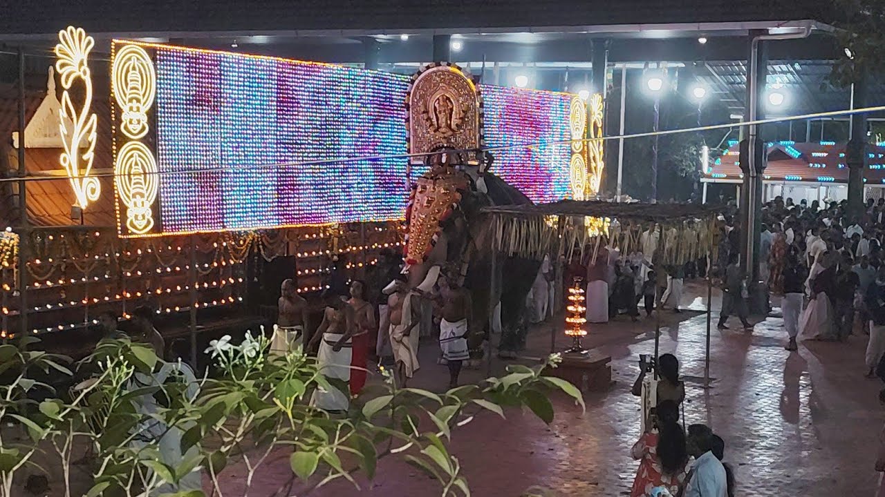 പുത്തുക്കാവ് താലപ്പൊലി മഹോത്സവം 2k26 ✨🙏 ഭഗവതിയുടെ തിടമ്പ് ശിരസ്സിൽ ഏറ്റി പല്ലാട്ട് ബ്രഹ്മദത്തൻ 🥰🔥🐘##