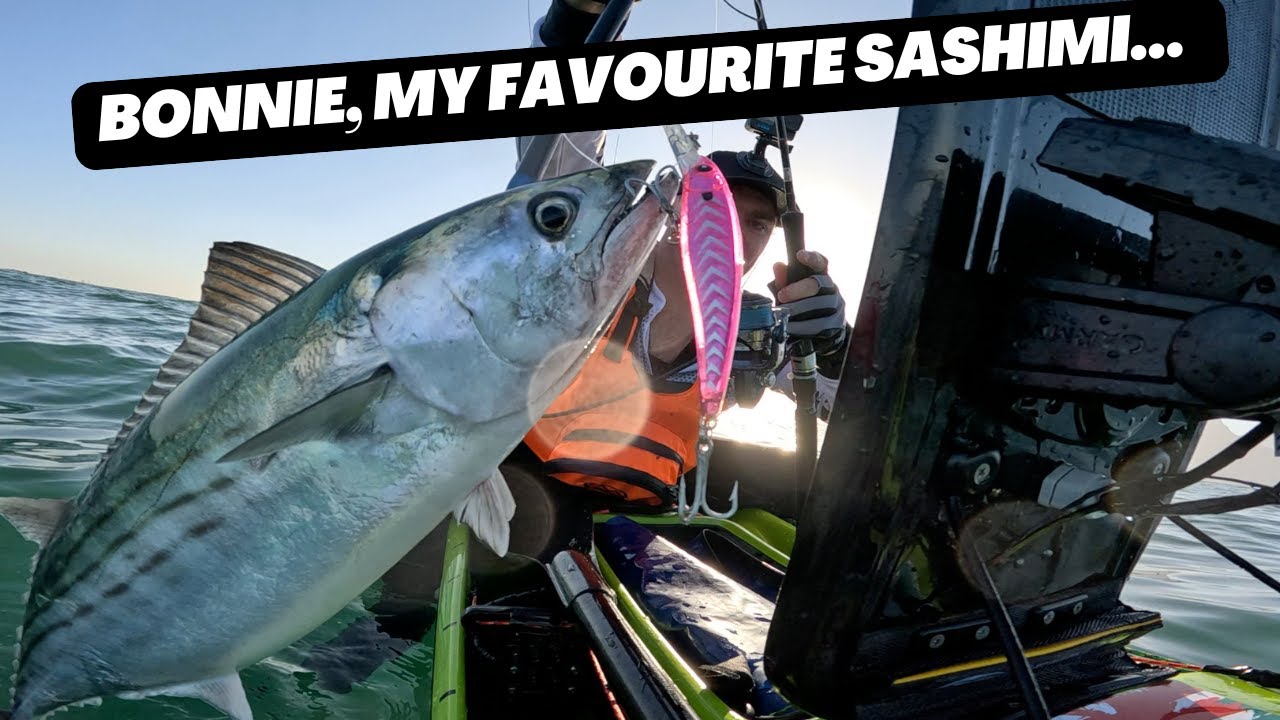 Bonito Catch and Cook(Sashimi). The best sashimi ever