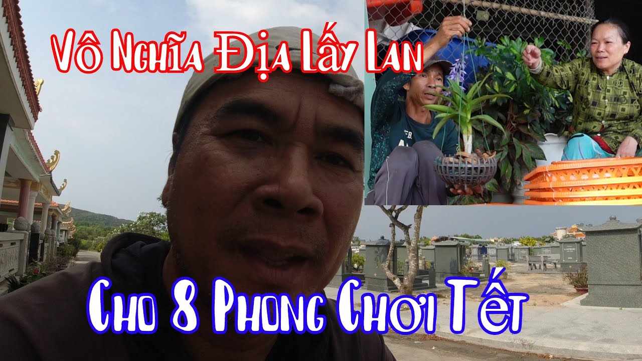Ông Cố 10 Râu Lại Vô Nghĩa Địa Lấy Lan Cho 8 Phong Chơi Tết