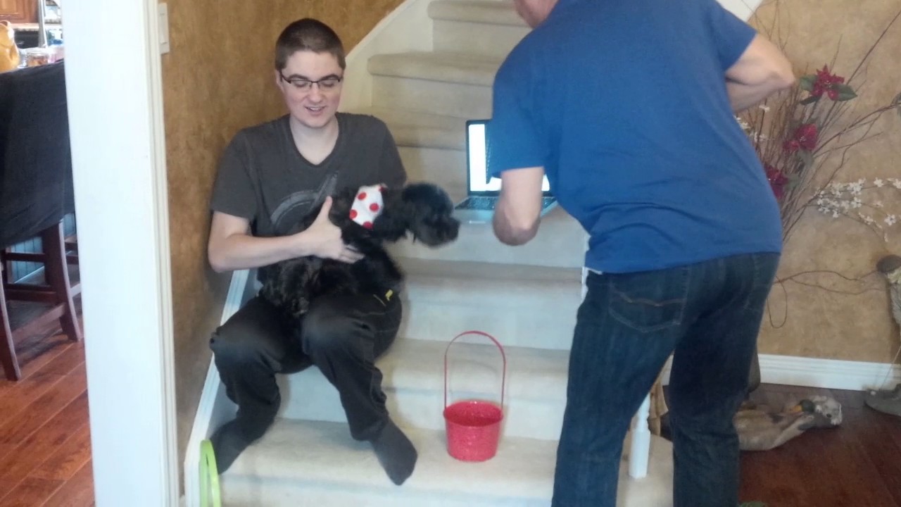 Easter Egg hunt via Skype
