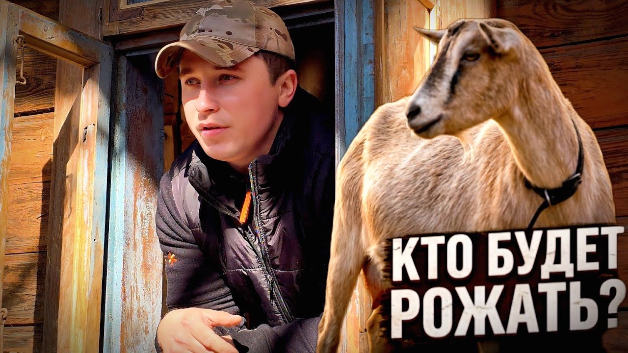 ОТ ЛИПОВОГО ДО ЧЕРНИЧНОГО ХУТОРА. КТО БУДЕТ РОЖАТЬ? ПОСЕЯЛИ ПОМИДОРЫ.