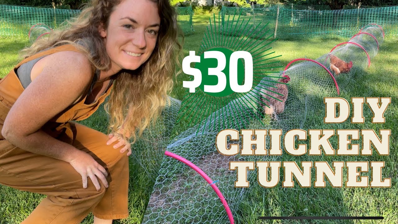 DIY Chicken Tunnel | How-To & Price Breakdown