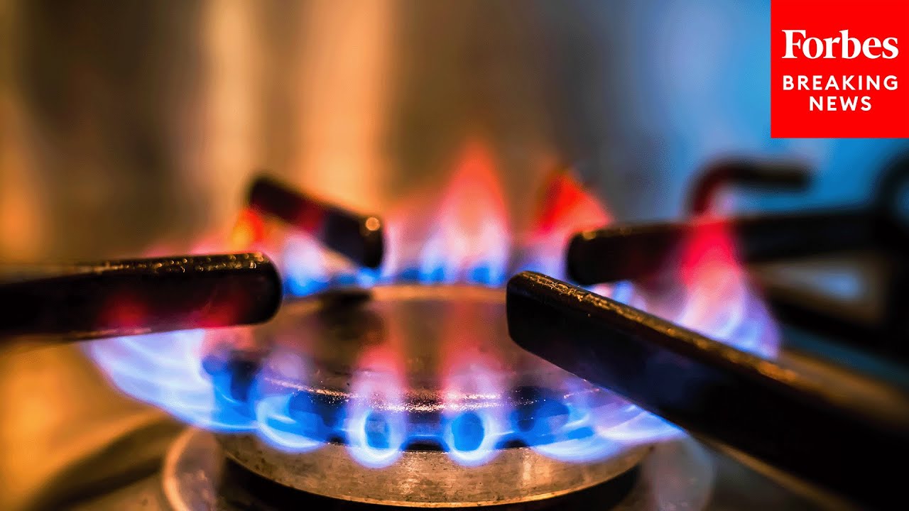 'A Win For Common Sense And The American People': GOP Lawmaker Touts Bill Protecting Gas Stoves