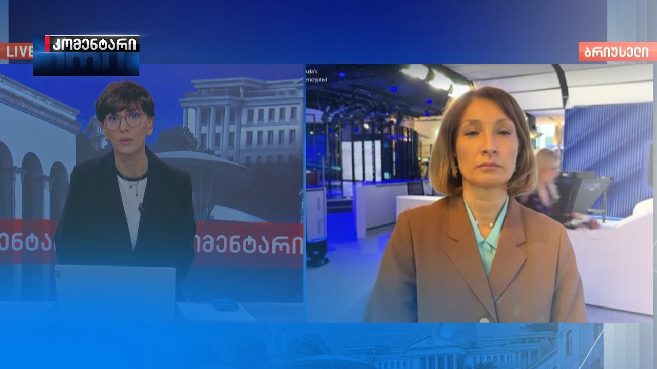 ევროპარლამენტის საგარეო საქმეთა კომიტეტის ანგარიში საქართველოს შესახებ | ინტერვიუ თამარ ნუცუბიძესთან