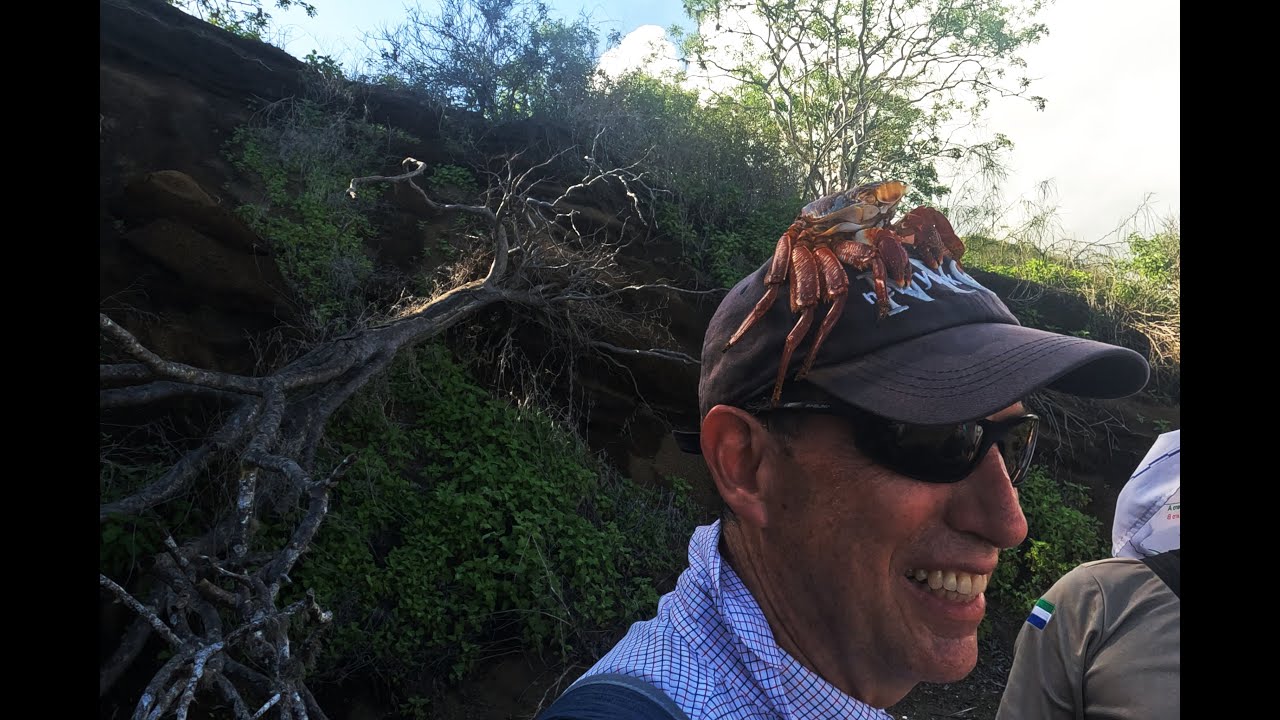 Adventures in the Galapagos 4 of 4