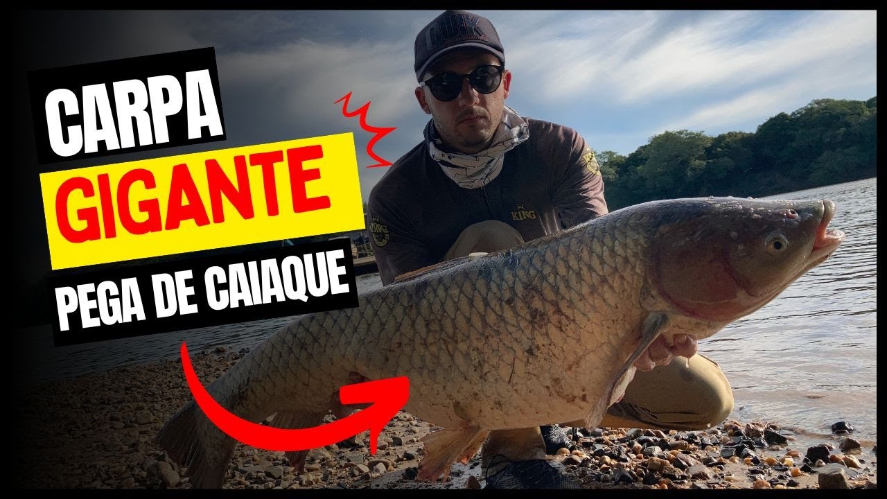 Peguei uma carpa capim de 13kg e quase perdi o caiaque.