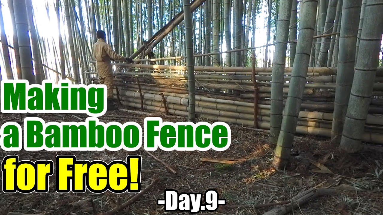 Making a Bamboo Fence for Free -Day.9-