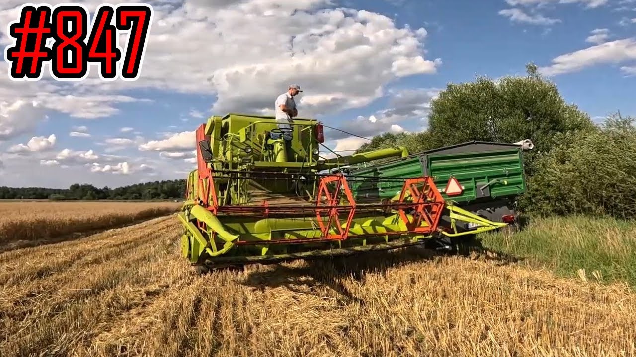 Dożynki owsa, żyto jeszcze niedojrzałe #847