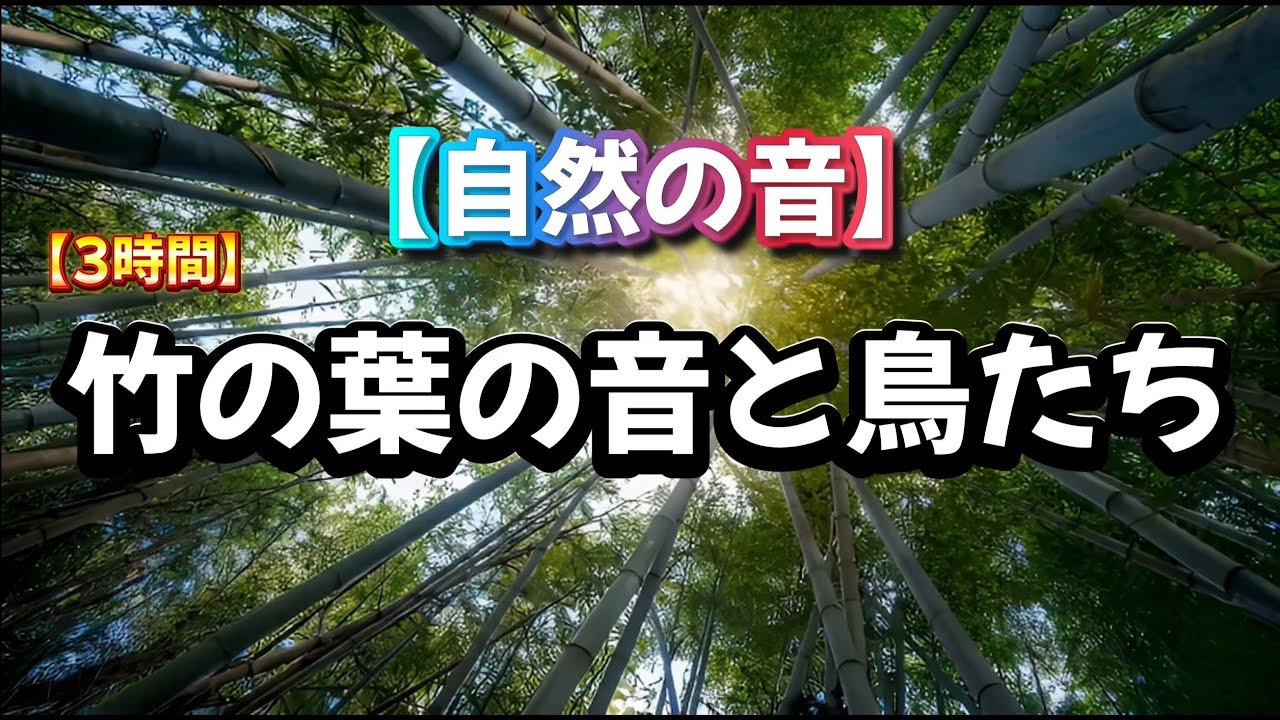 【自然音/ASMR】木の葉の音と 鳥のさえずり #ASMR #睡眠用bgm #癒し #自然音 #寝落ち音楽 #眠る #赤ちゃん向け睡眠音楽