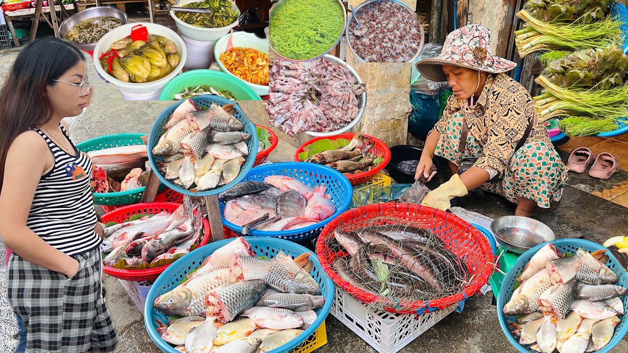 Freshness Fish Market in Phnom Penh - Cheap Breakfast, Lunch, Fruits, Vegetables, Meats 