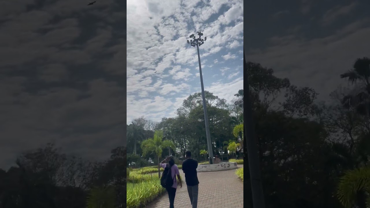 Subhashpark kochi 