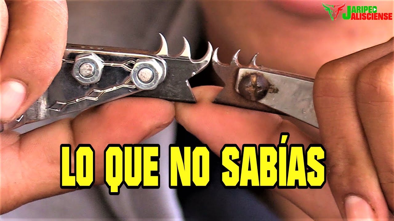 LOS SECRETOS DE LA ESPUELA DEL JARIPEO (SEGUNDA PARTE)