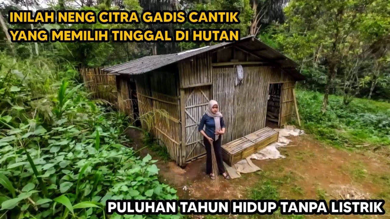 KAGET ! TIDAK DI SANGKA DI DALAM HUTAN BELANTARA ADA WANITA CANTIK TINGGALL