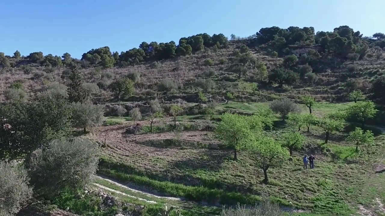 Tenute sarra