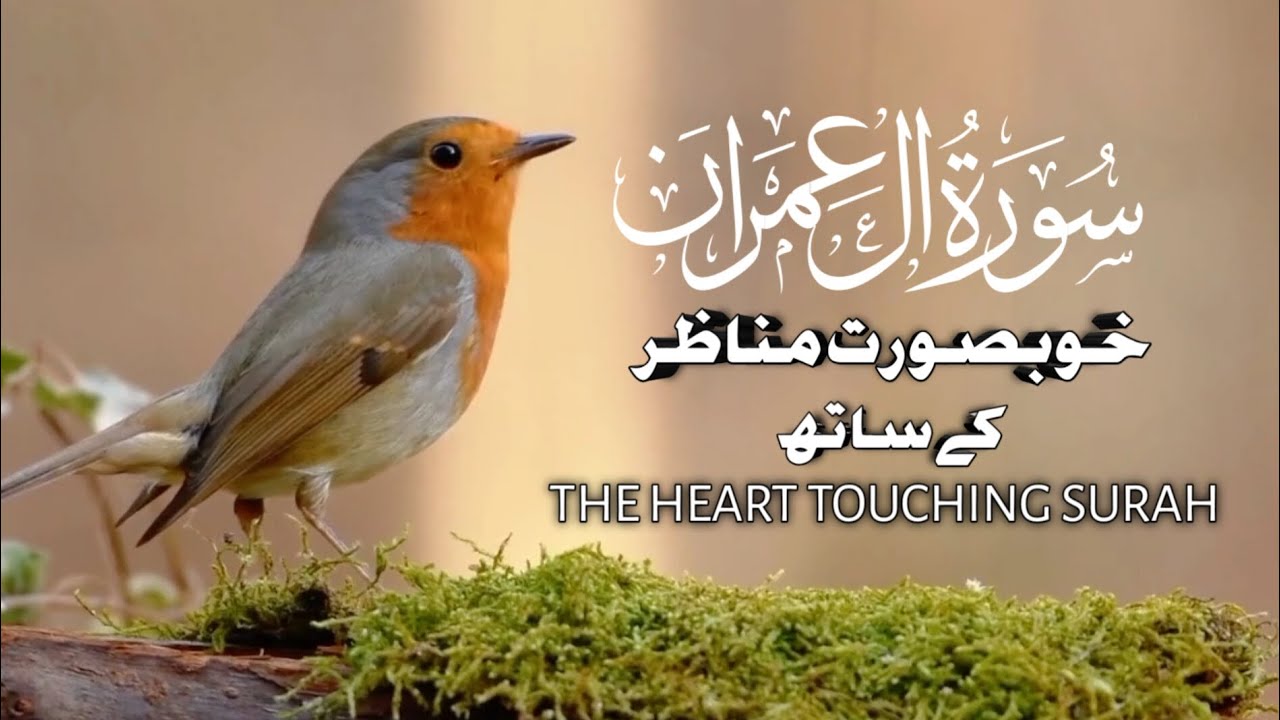 Surah Al - IMRAN  سورہ آل عمران - This voice will change your life inshallaha . Islam ki dunyia p61