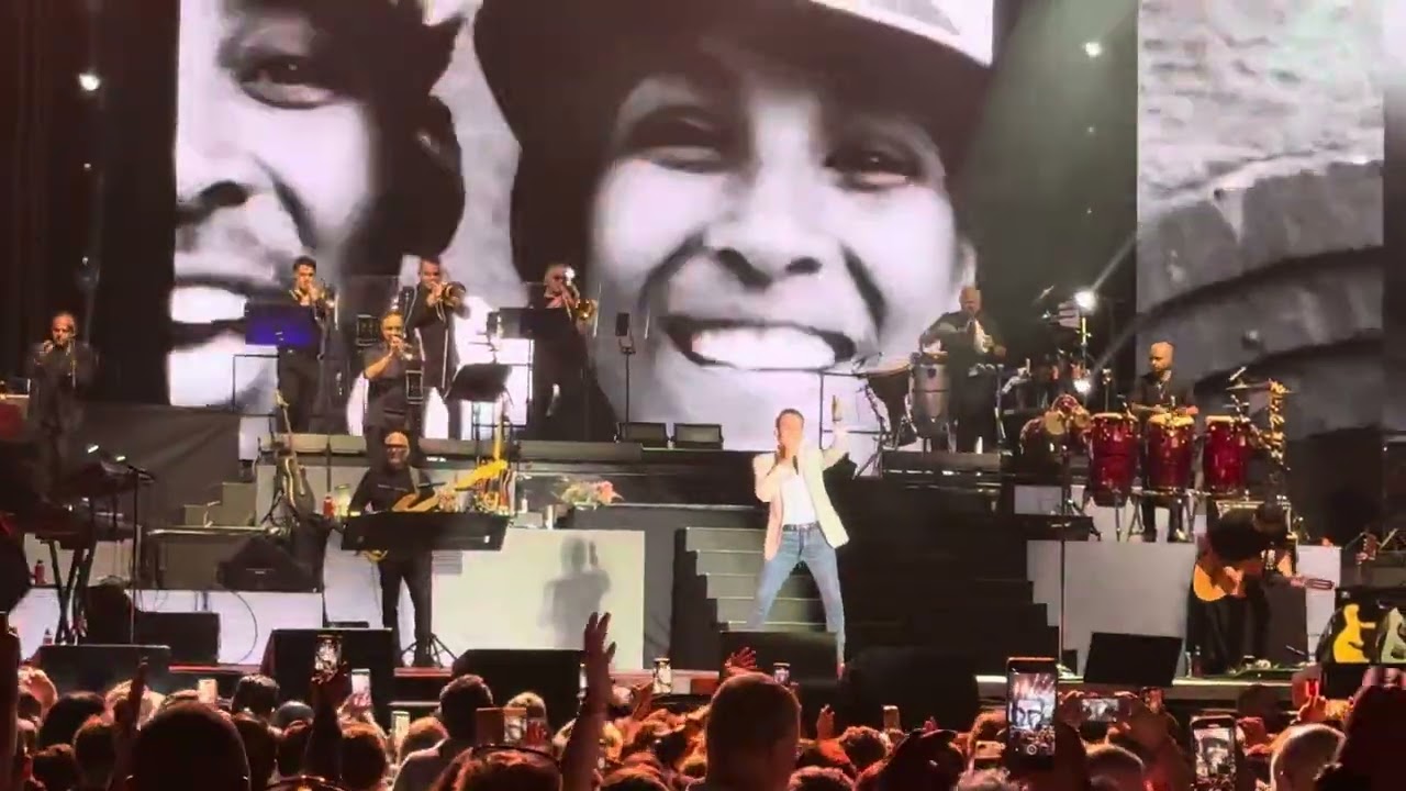 Vivir Mi Vida - Marc Anthony - Live Concert Marbella Spain